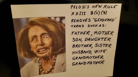 Nutzy Pelosi bans gendered terms