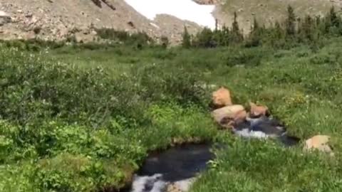 Relaxation at its finest..🐕🐾🏞️😍