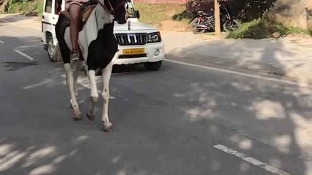 Girl in horse great hours raiding