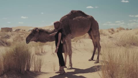 A ladies with the camel