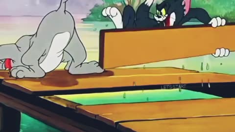 Tom and Jerry cartoon video