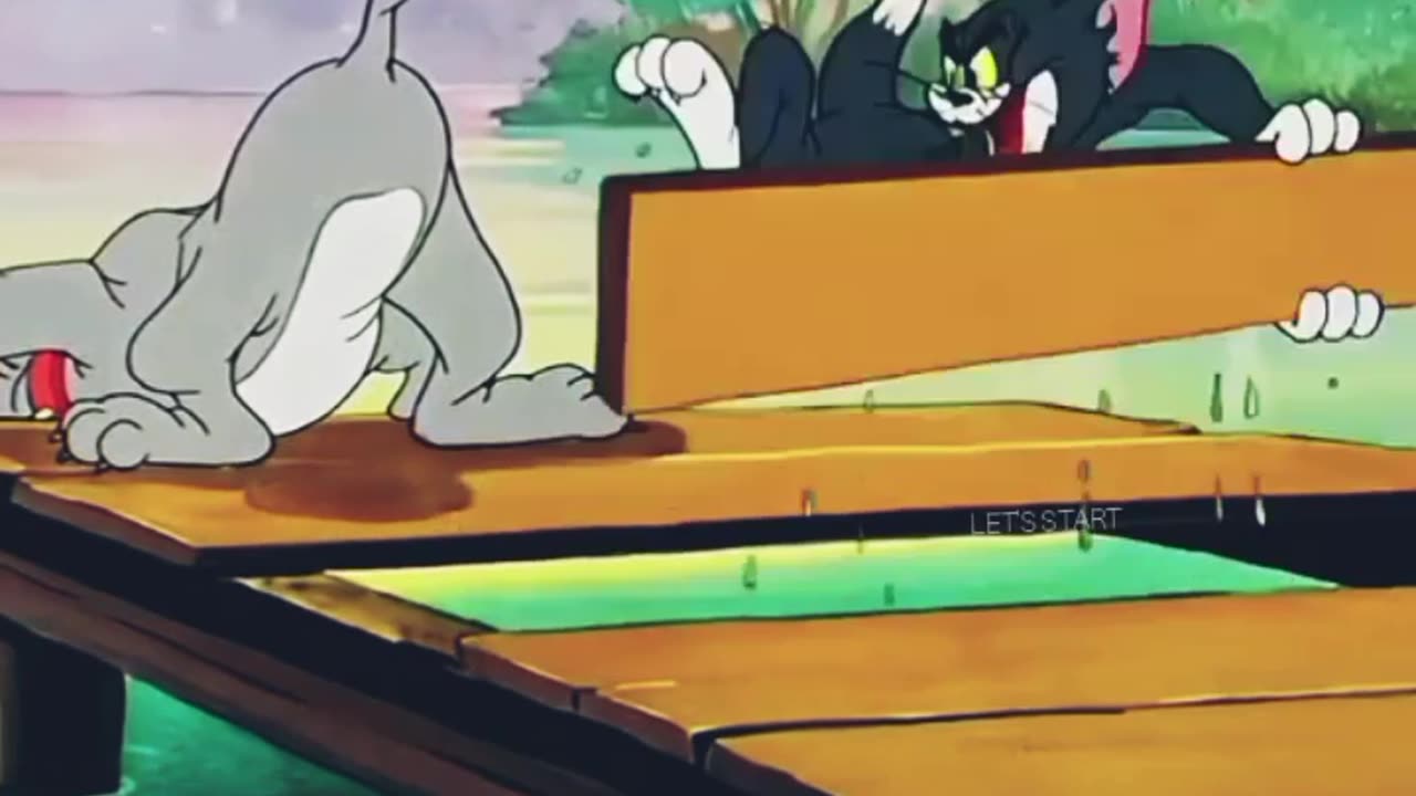 Tom and Jerry cartoon video