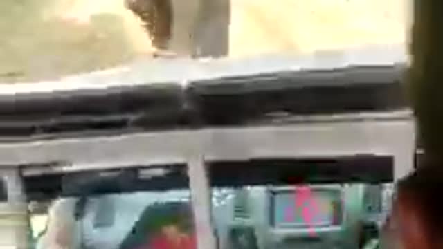An wild elephant attacks to the tourists