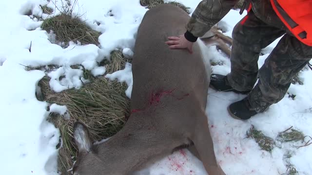 Michigan Deer Hunting- MWP's Season Finale!