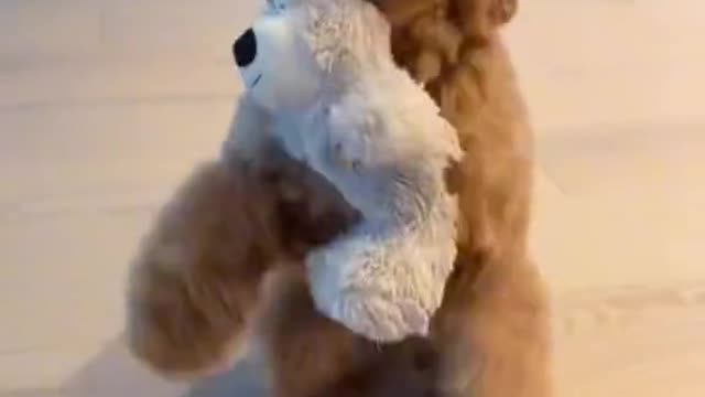 Cute puppy with doll