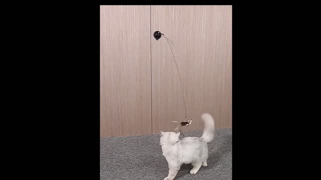 Simulation Bird interactive cat toys funny feather birds