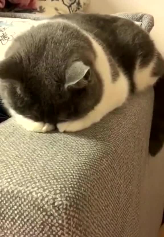 This is me every time I make a mistake