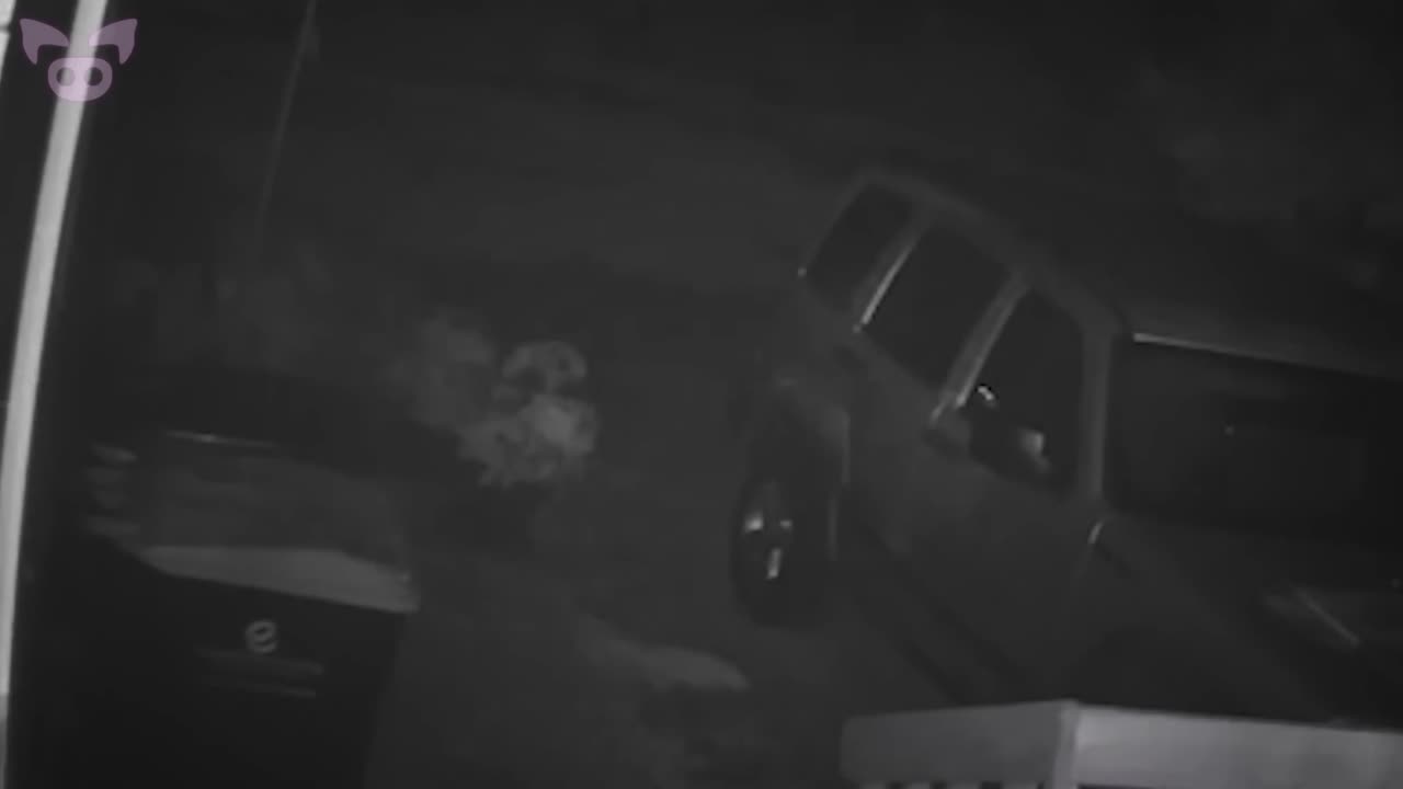 Someone Needs to Explain These Scary Videos!