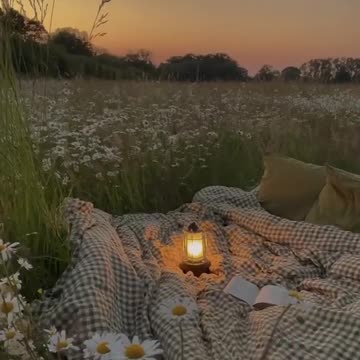 Would you sleep here? #naturalbeauty