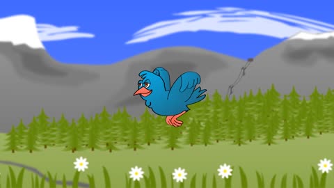 Bird 🐦#4