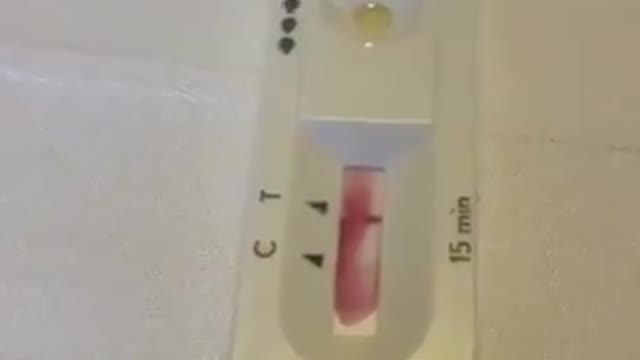 Beer tests positive for COVID-19