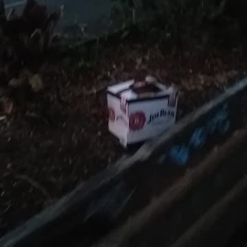 9.12.2023 Party in the Park,