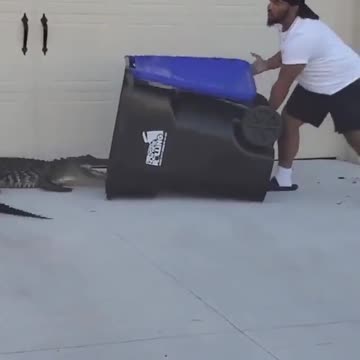 Florida Man Fights Gator With Trash Can