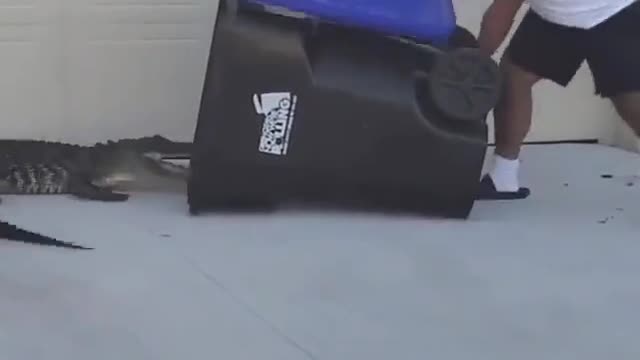 Florida Man Fights Gator With Trash Can