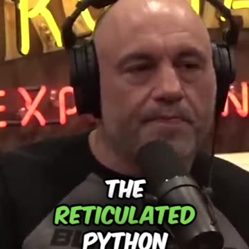 Who is the biggest in the world