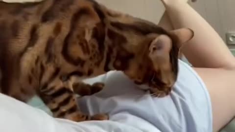 Funny And Cute Aminals Shorts #161 ⧸ Follow us❤️