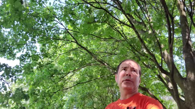 CORRIENDO CON 32 GRADOS CELSIUS 🏃‍♂️ 🏃‍♀️ 🏃‍♀️ 🏃‍♂️ 🔥 [22 de junio, 2022]