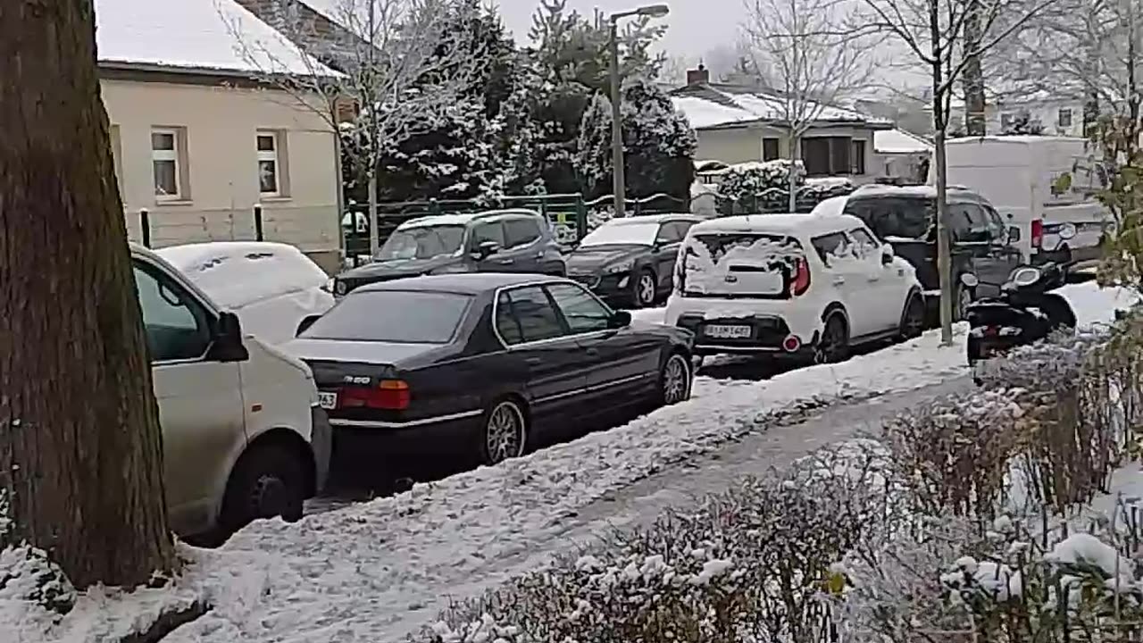 Nice Snowfall