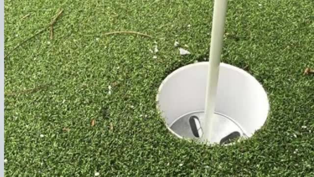 Great American Green Turf Company in Alpharetta, GA
