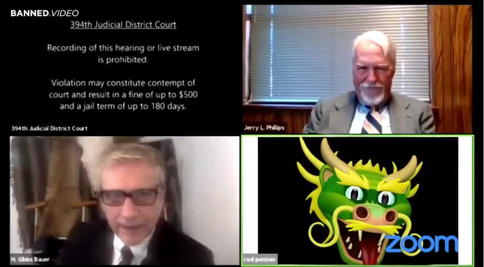 Chicom Dragon takes over state representative Zoom call