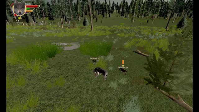WolfQuest AE Elk Round Challenge - 29