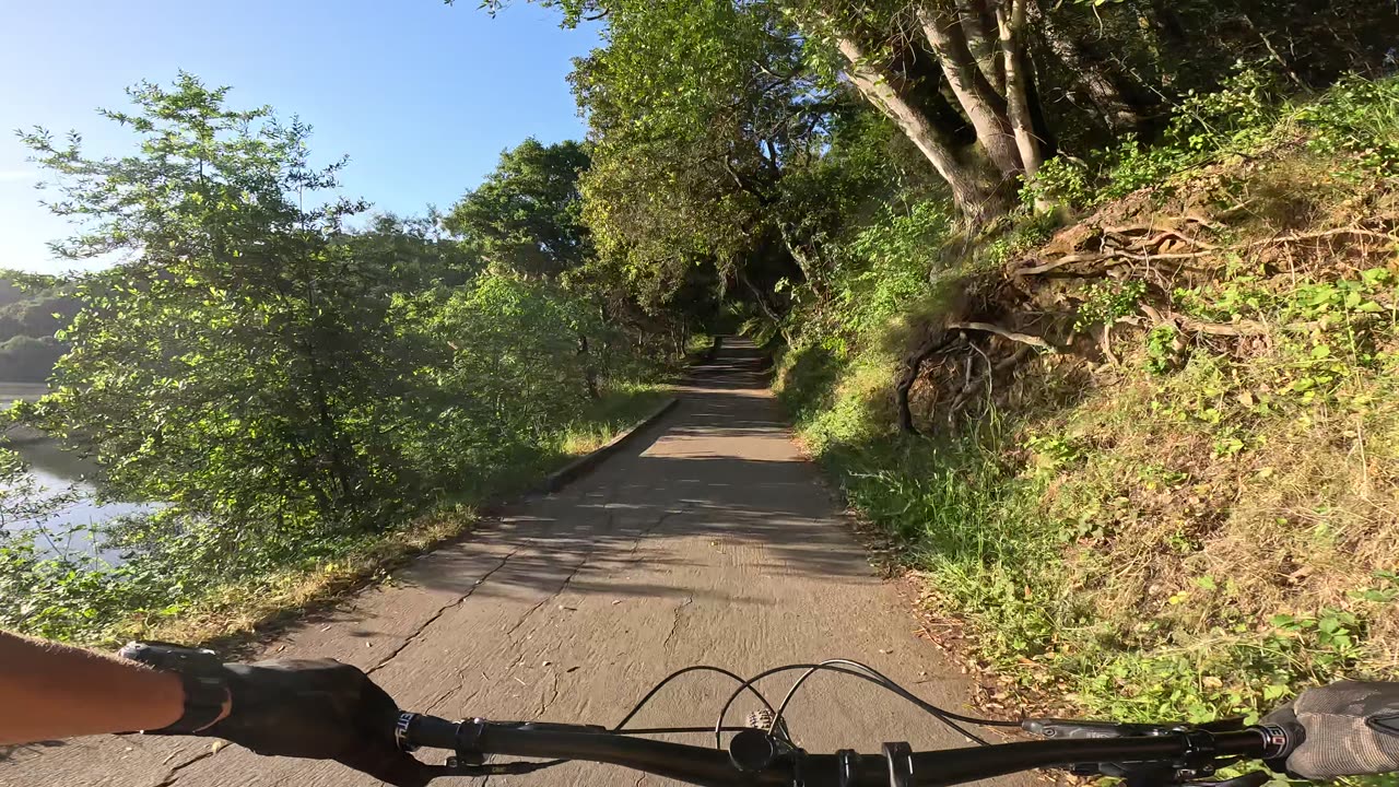 Lake Chabot Regional Park (Castro Valley, CA); Lake Loop (East)