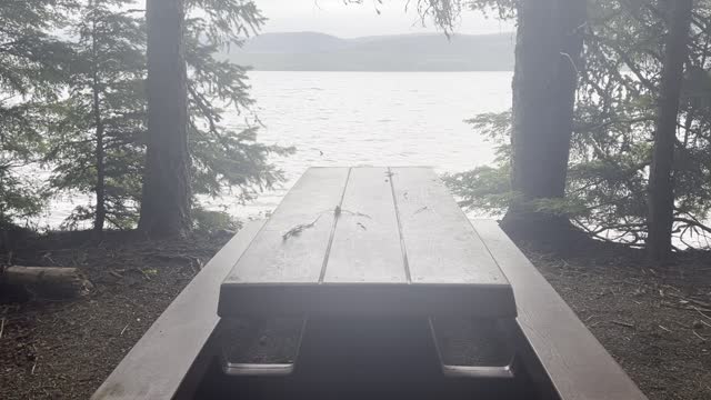 There's Something Strangely Satisfying About This Spot at Timothy Lake – Mount Hood – 4K