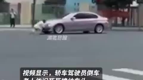 China's "Porcelain"