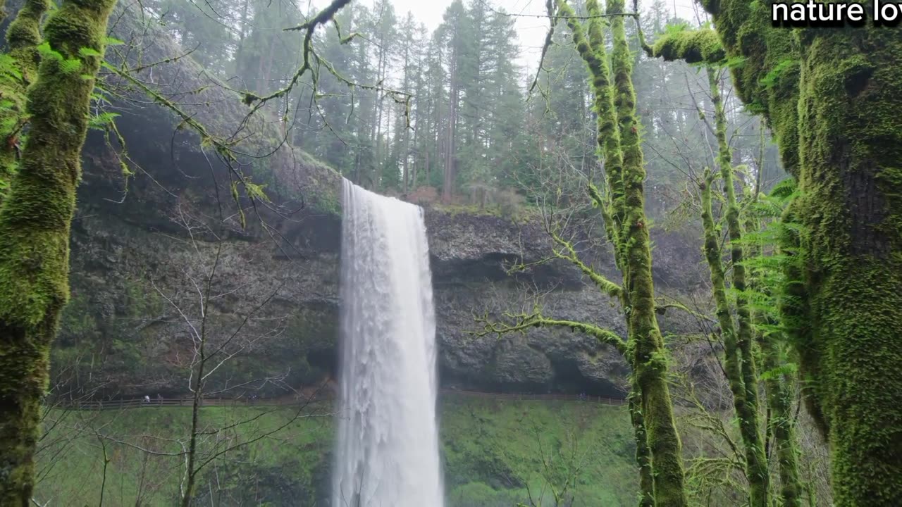 Beautiful Waterfall.