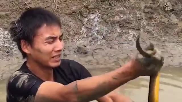 Unique Fishing 🧐 Catching Yellow Monster Eel Fish From Under Deep Mud #22