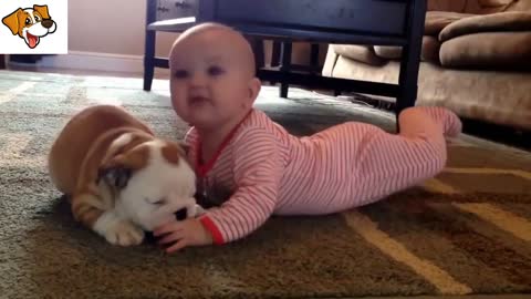 Dog Playing With Cute Baby, You Will Love It.