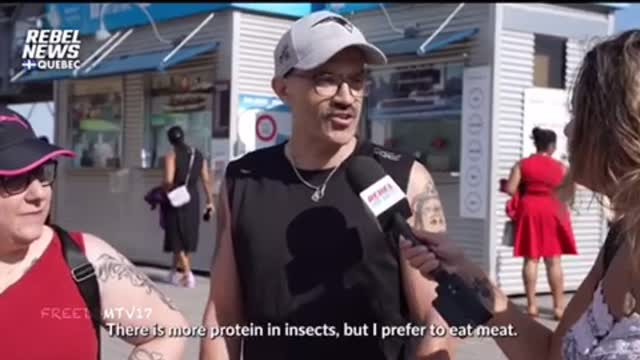 They eating the bugs now