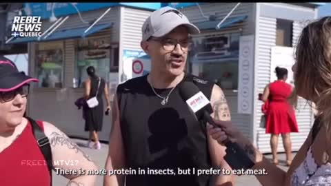 They eating the bugs now