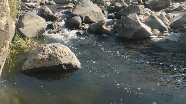 Oshakan Village Fishing