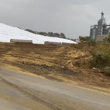 US farmers dump literal hills of beans on banks of Mississippi awaiting barges