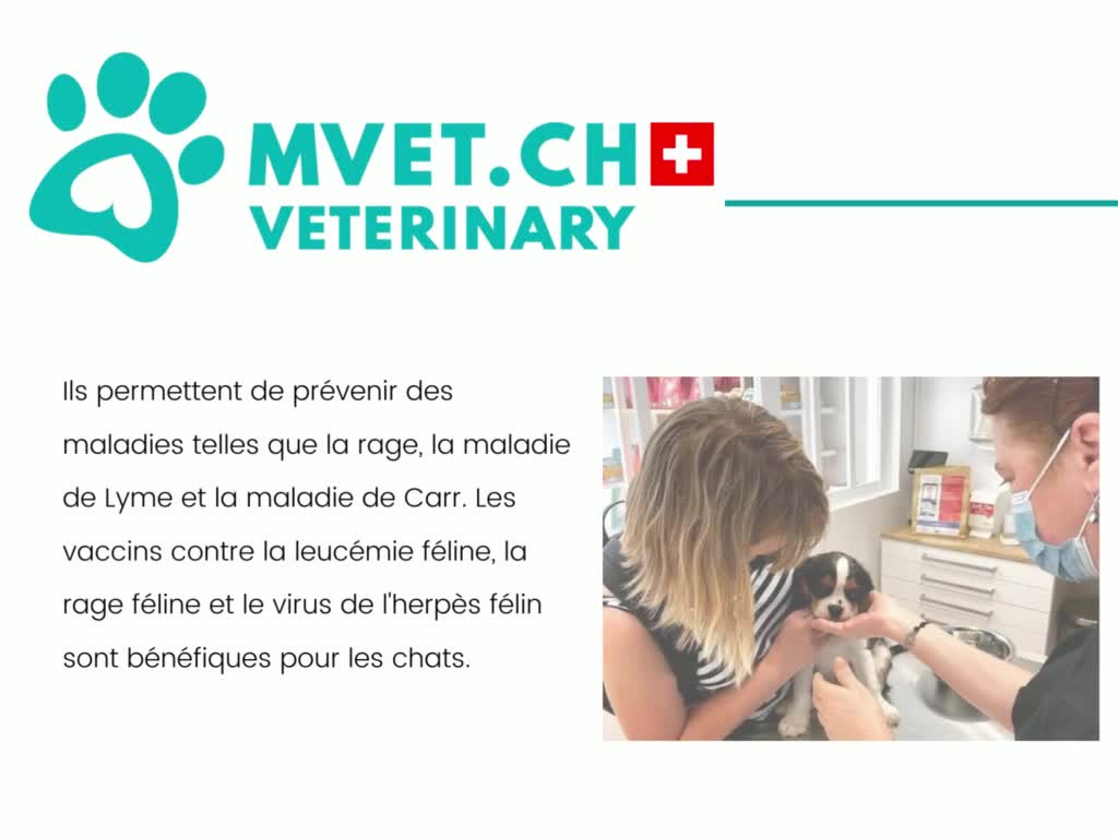 Genève vétérinaires d'urgence | MVET.CH