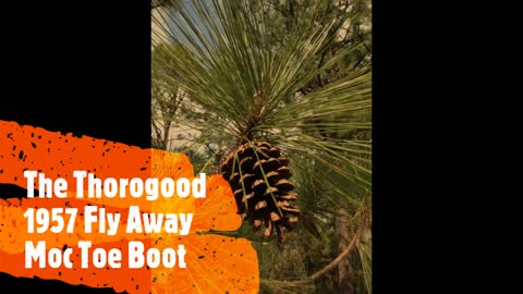 Thorogood 1957 Fly Away Moc Toe Boots Review