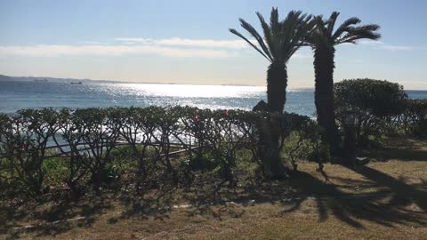 Restaurant garden by the sea