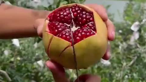 How to cut pomegranate