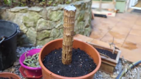 2023-04-16 (3) - Rerempotage - Twitch Meutemediatique