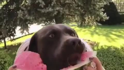 Happiness is like a juicy watermelon