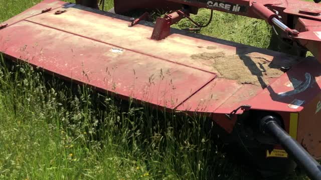 Mowing Hay