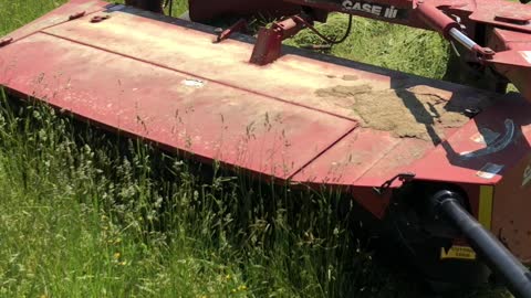 Mowing Hay