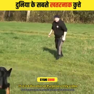 / Most deadliest Dogs in the world 😯 / #shorts