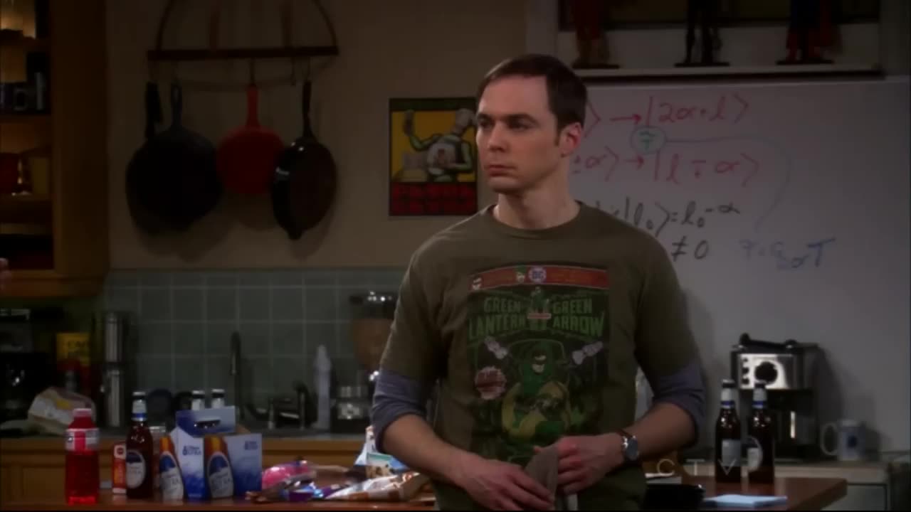 Lonely Raj - The Big Bang Theory