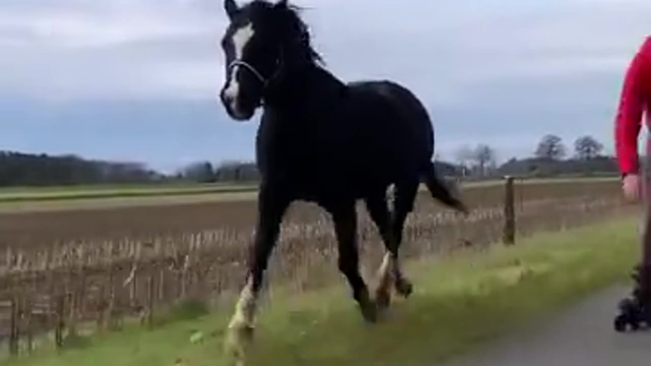 Taking her pet out for a jog 😍😍