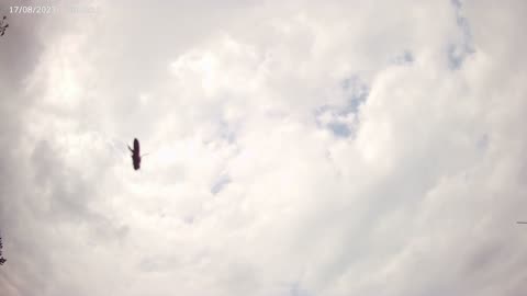 Sky Timelapse #151 - 4K - 17/8/2023