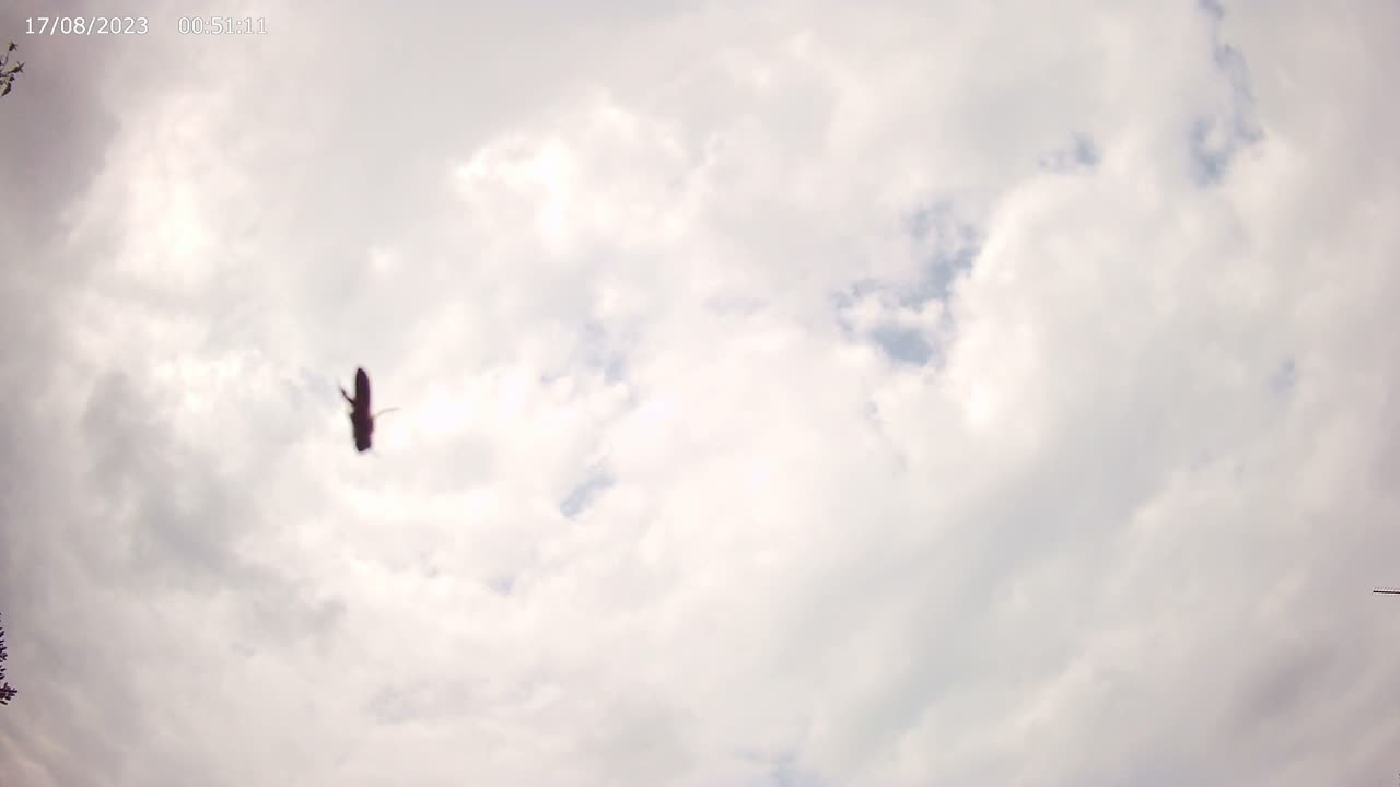 Sky Timelapse #151 - 4K - 17/8/2023