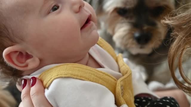 Cute baby