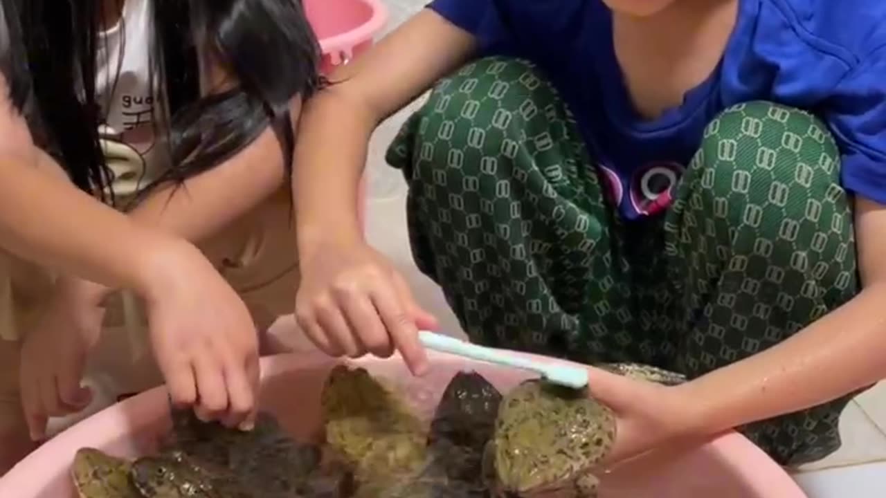 Funny frog and funny boy